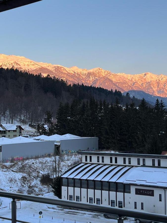 Coca Apart Mountain View Синая Экстерьер фото