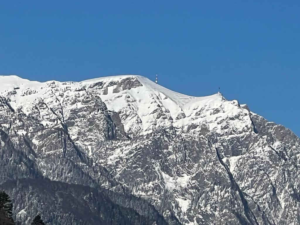 Coca Apart Mountain View Синая Экстерьер фото