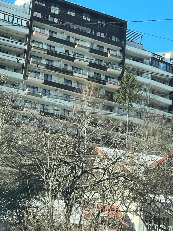 Coca Apart Mountain View Синая Экстерьер фото