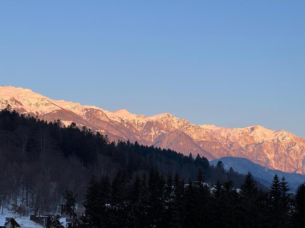 Coca Apart Mountain View Синая Экстерьер фото