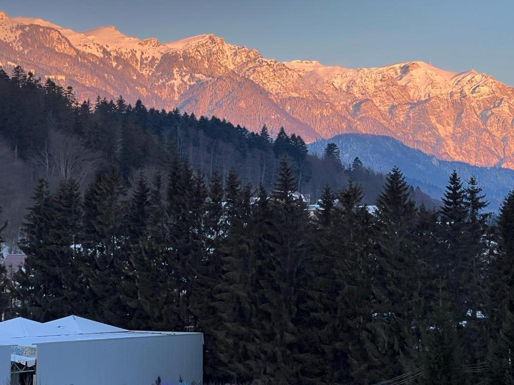 Coca Apart Mountain View Синая Экстерьер фото