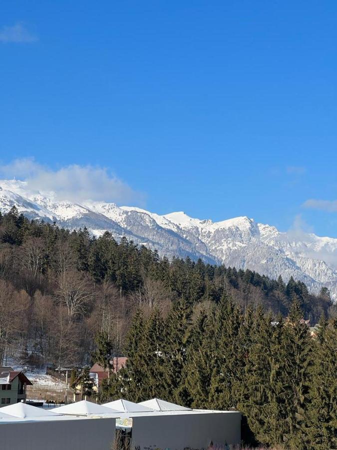 Coca Apart Mountain View Синая Экстерьер фото