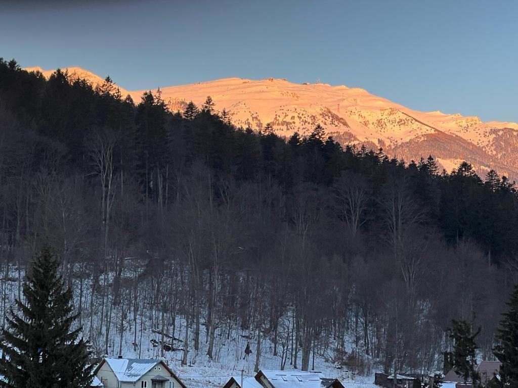 Coca Apart Mountain View Синая Экстерьер фото