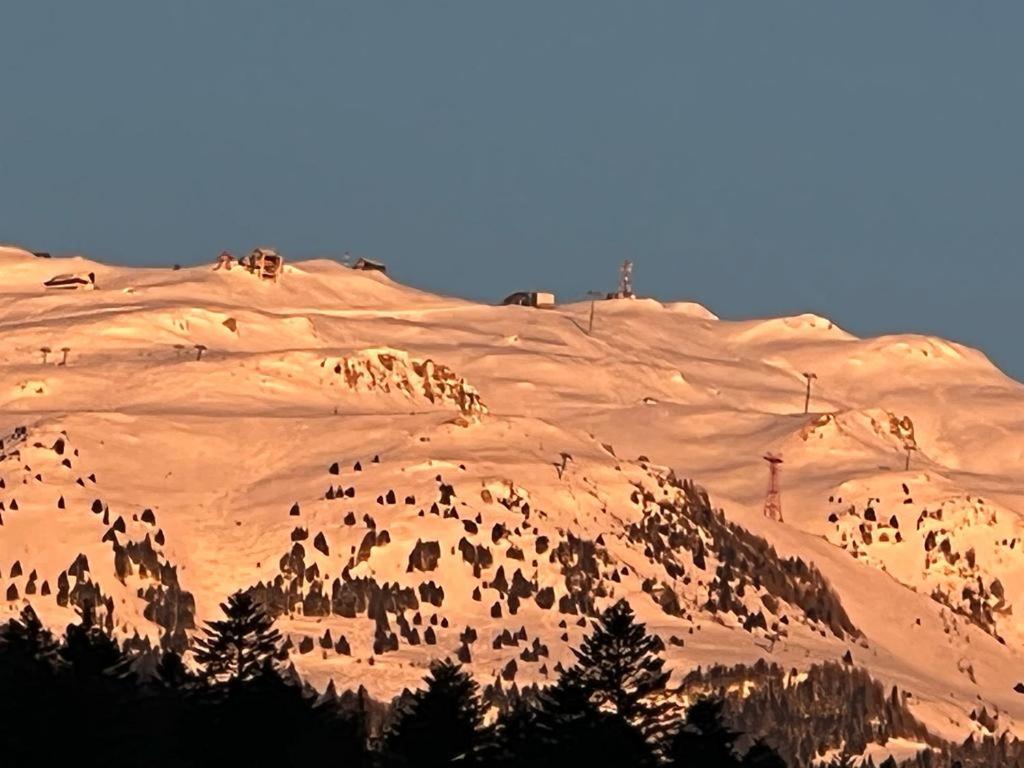 Coca Apart Mountain View Синая Экстерьер фото