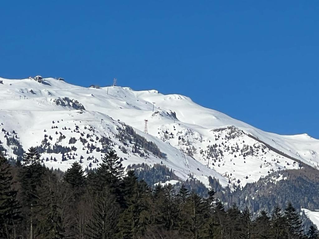 Coca Apart Mountain View Синая Экстерьер фото