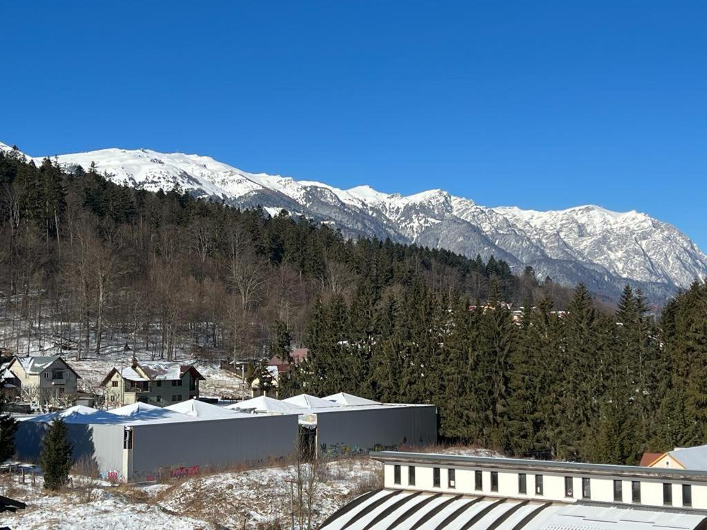 Coca Apart Mountain View Синая Экстерьер фото